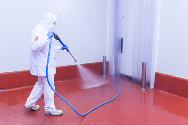 Best Driveway Pressure Washing  in Hughesville, PA